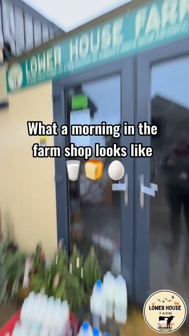 This is what a Friday morning looks like when we have all your milk, bread and egg orders in 🥛🍞🥚 Keep an eye on our page or feel free to message us if you’d like to start pre-ordering. We have so many lovely things in the shop and would love for you to come down and support us 🚜🌾
#lowerhousefarmwales #farmshop #shoplocal #southwales #regenfarming