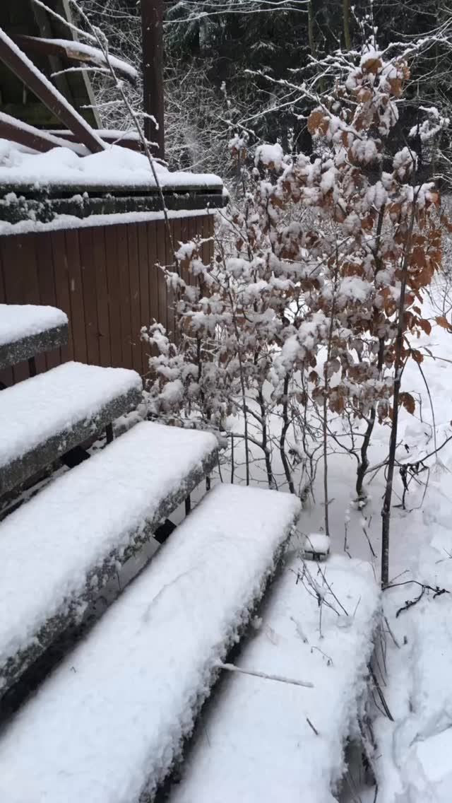 A cold front is coming to Austin. If you haven’t prepared your home, now is the time. ❄️
✔️ Cover outdoor pipes, hose bibs & backflow preventers
✔️ Disconnect and drain hoses
✔️ Let indoor faucets drip during extended freezes
✔️ Open sink cabinets on exterior walls
✔️ Set your thermostat to at least 55°, even if you’re away
✔️ Seal drafts, protect plants, and bring pets indoors
✔️ Know where your main water shut-off valve is located
If you’ll be out of town, ask someone to check on your home during prolonged cold weather. A little preparation goes a long way! ❄️
#FreezePrep #WinterWeather #HomeMaintenance #ProtectYourHome #ColdWeatherTips #Homeowners #WinterReady #TexasWeather #AustinWeather #AustinHomes #PreventDamage #austinrealestate #austinrealtor