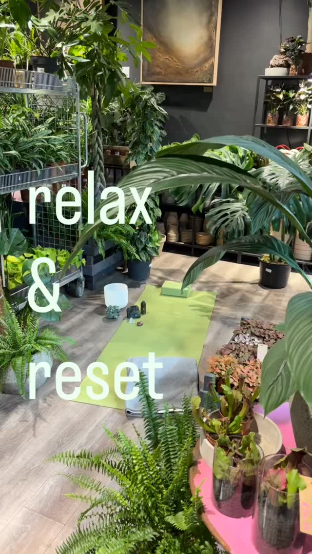 Sometimes EVERYTHING just builds.
Finding time to relax & reset becomes an impossible urgency.
Well we’re giving you the time and the space to do just that.
Our symbotanical meditation sessions led by Ali from @skindyllic leads you through a green inspired reset in the lush foliage of our green oasis after hours.
Where: hugo & green, Hanningtons Lane BN1 1GS
When: 18.30 Weds 28th February
Cost: £15
You don’t need to bring anything, but feel free to bring your own mat or blanket. We can provide yoga mats.
You don’t need to have done anything like this before Ali will lead your breathe to a relaxed and mediative state all soundtracked by music made by plants.
It’s a lovely weekly practice but you’re welcome to join any session at any time.
Spaces are limited so booking is advised. Via website link in bio.
#houseplantsandhappiness #hugoandgreen #brightonmeditation