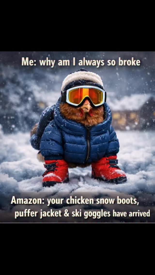 No we didn’t spend our $ on snow boots and puffer jackets but we did make a chickdonium in our mudroom. It’s -10 in there ( so they don’t get accustomed to warmth) but better than -35! #thistlehousefarm #carefarm #chickens #farmlife #toocoldoutside❄️