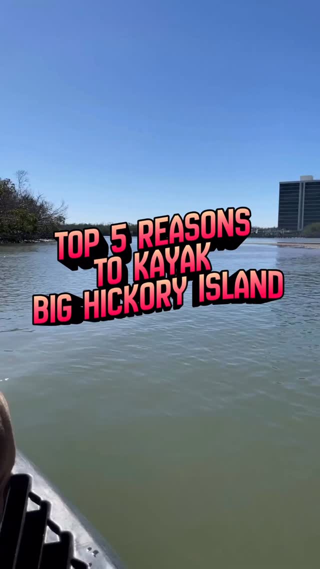 5 motivos pelos quais você PRECISA andar de Kayak na Big Hickory Island em Bonita Springs:
1️⃣ Águas calmas
2️⃣ Ideal para iniciantes
3️⃣ Trilhas protegidas entre os manguezais
4️⃣ Oportunidade de curtir a praia e coletar conchas
5️⃣ Perfeito para crianças e famílias
Guia completo com dicas, informações sobre estacionamento e o que levar no meu blog. Comenta KBS que eu te envio o link.
🇺🇸🇺🇸 (English)
5 reasons you NEED to kayak Big Hickory Island in Bonita Springs:
1️⃣ Calm water
2️⃣ Beginner-friendly water
3️⃣ Sheltered mangrove trails
4️⃣ Beach and Shelling opportunity
5️⃣ Perfect for kids + families
Full guide with tips, parking, and what to bring on my blog. Just say KBS and I will send it over
#Kayaking #BonitaSprings #SWFL