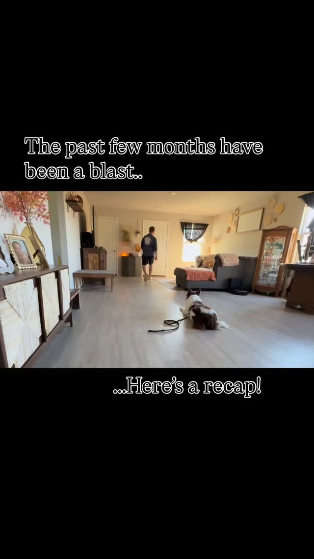 These past few months have been a blast! Here’s a recap🐾