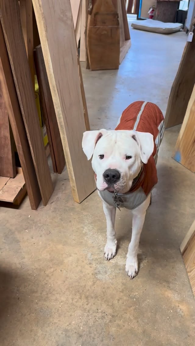 I think the music might be a little bit much...but Duke chose it. HOW about the figure in that Walnut? We just finished this custom Walnut Bar Top with @rubiomonocoatusa for a customer’s bourbon bar... Spectacular! Come on by and let us help you with your next project