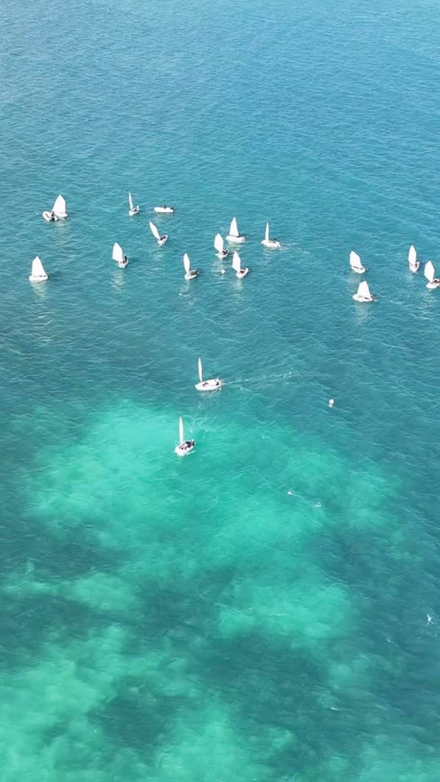 Los Optimist de la @escueladevelacancun están listos para el Mayan wind Fest! D-2