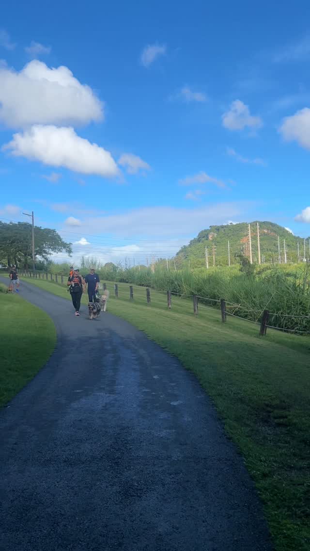 SAVE THE DATE, DOG MOMS 🐾✨
El domingo, 8 de febrero nos vemos para caminar, conectar y compartir en nuestro próximo Motherpupper Walk 🧡
📅 Domingo, 8 de febrero
⏰ 8:30am
📝 Recordatorios importantes:
🐶 Trae agua para tu mascota
💩 Poopy bags (porque somos dog moms responsables)
🦮 Los perritos deben estar amarrados en todo momento
⚠️ No deben ser agresivos
🙋♀️ No es necesario venir con tu perro — también puedes venir sola y compartir con otras dog moms
Si quieres los detalles del location, comenta con un corazón anaranjado 🧡 y te enviamos toda la info por inbox.
Good vibes, comunidad linda y mucho amor perruno.
¡Te esperamos, Motherpupper! 🧡🐾
#dogmomsofpr #dogmomwalks #puertorico #dogsofpuertorico #dogmomclub