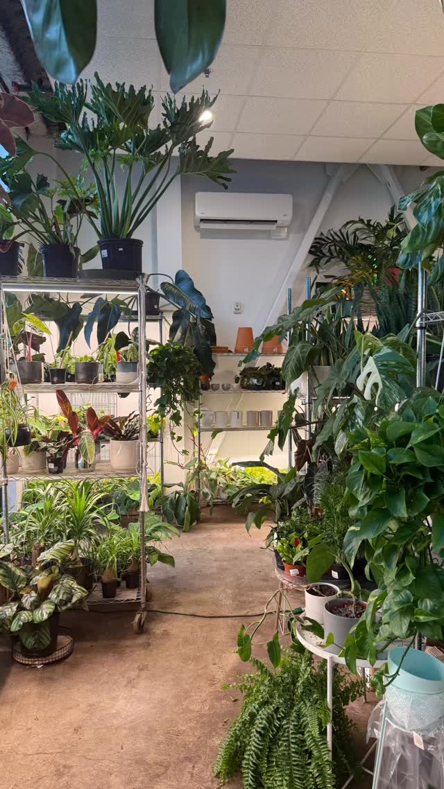 Cold Seattle day? Not in here…. Stop on in to get out of the cold!