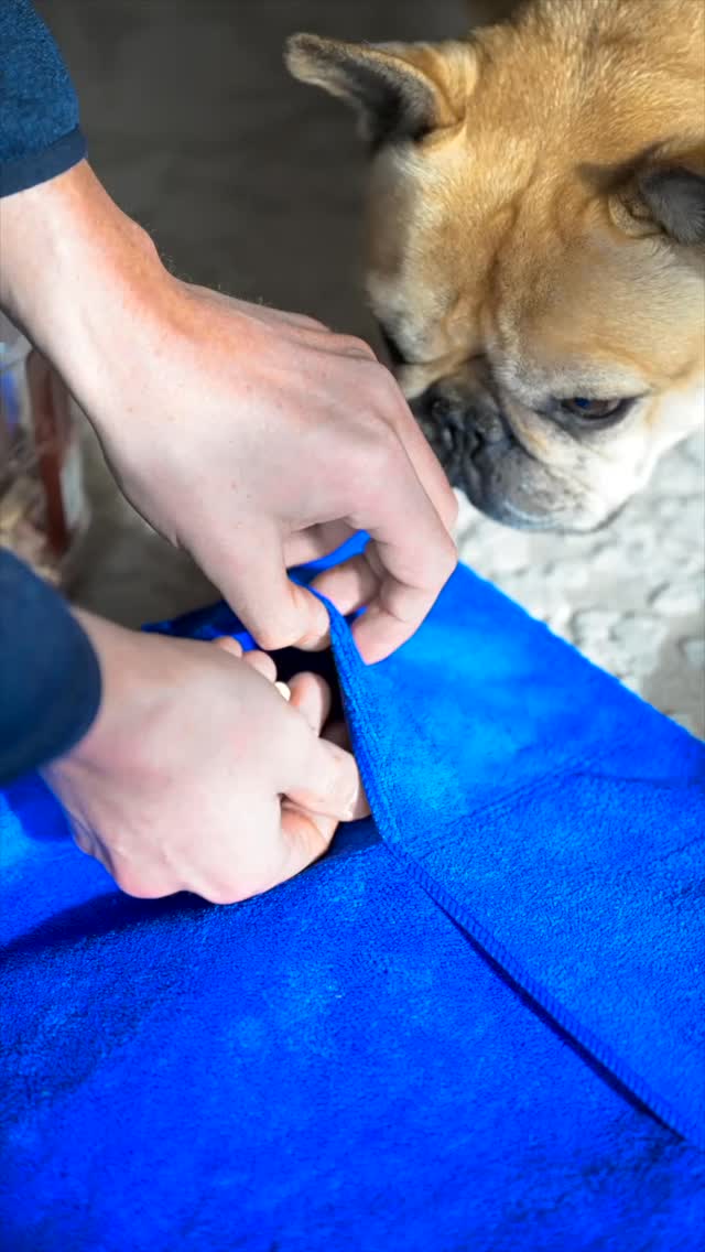 Recent work for @treattowel 👀
Videography + Marketing for #BlueSevenClient | @treattowel