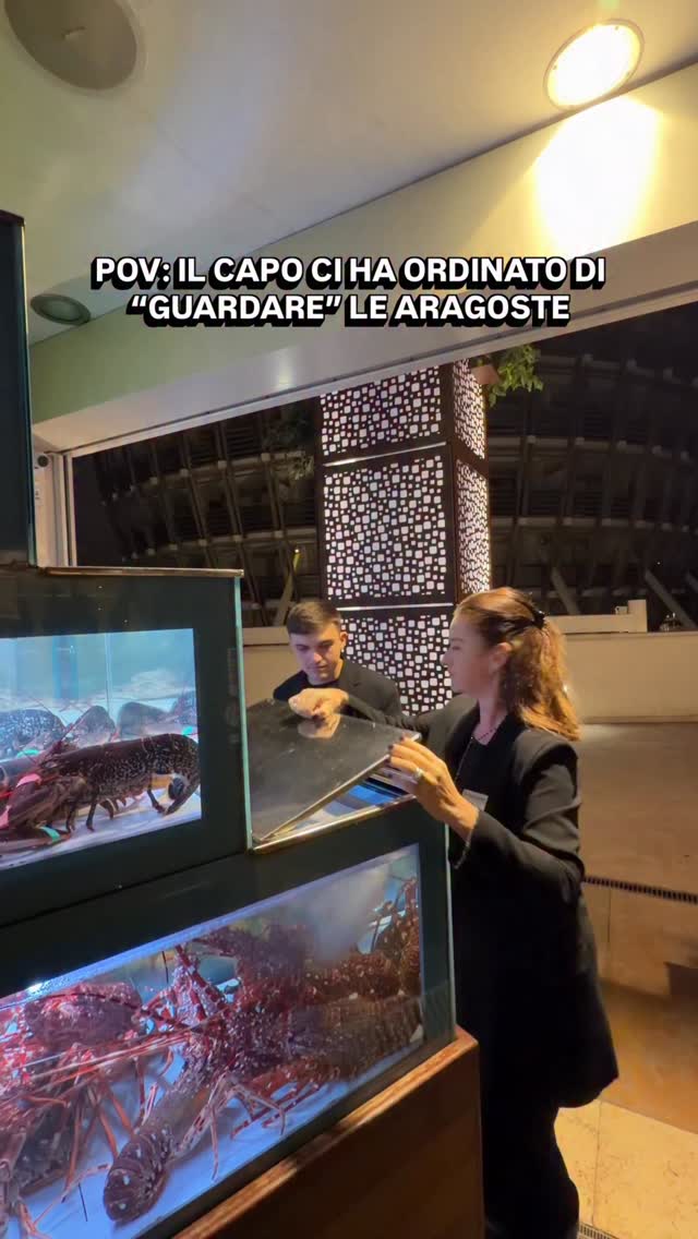 Alla Petite Langoustine quando il capo dice
“andate a guardare le aragoste”
noi andiamo.
Le guardiamo.
In silenzio.
Con rispetto.
Poi torniamo su e diciamo:
“Sì capo, tutto ok.”
(Le aragoste pure.)
#LaPetiteLangoustine #GenuineVibes #VitaDiSala #JanuaryVibes #StorieVere