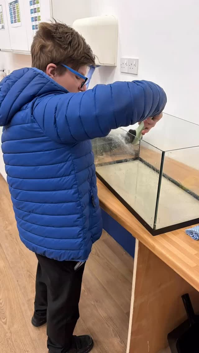 Starting our next #asdan . Getting the fish tank cleaned and ready 🐠