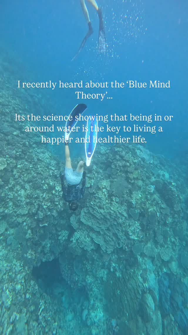 Blue Mind Theory describes the scientifically supported positive impacts of being in water, around it, or even seeing photos of it!
It’s been shown to improve mood, reduce stress and anxiety, boost creativity, and increase levels of life satisfaction.
Whether you surf, dive, swim, or just sit by a waterway, you will experience these incredible benefits. So next time you’re feeling down, try getting your vitamin sea!