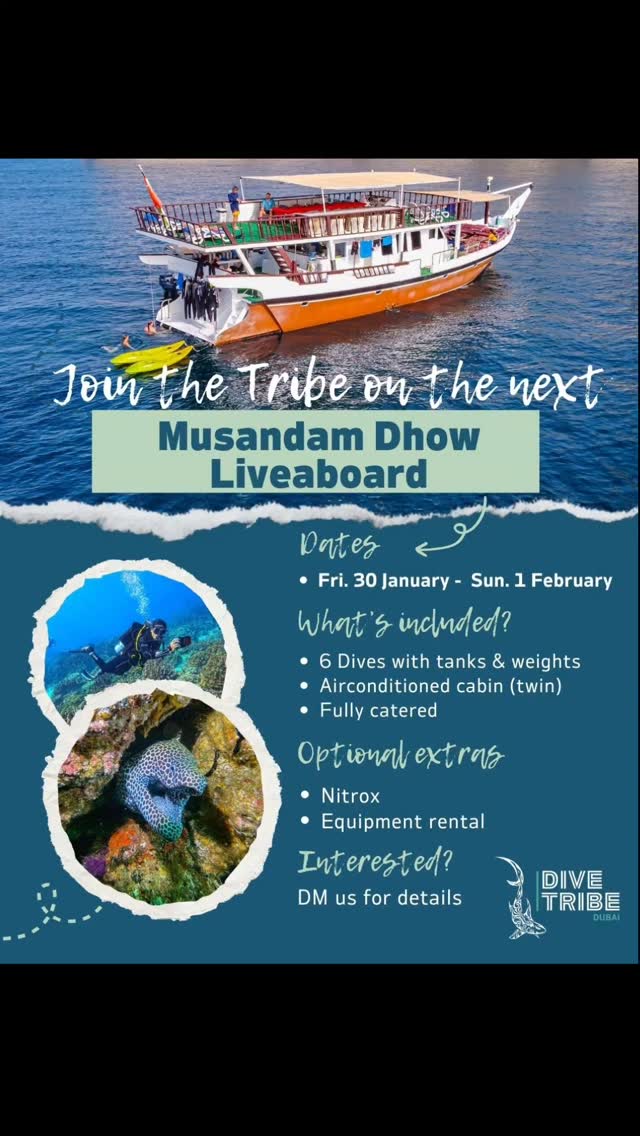 Join us in 2 weeks on our Musandam Liveaboard! Message us to book. Transport from Dubai possible to arrange.