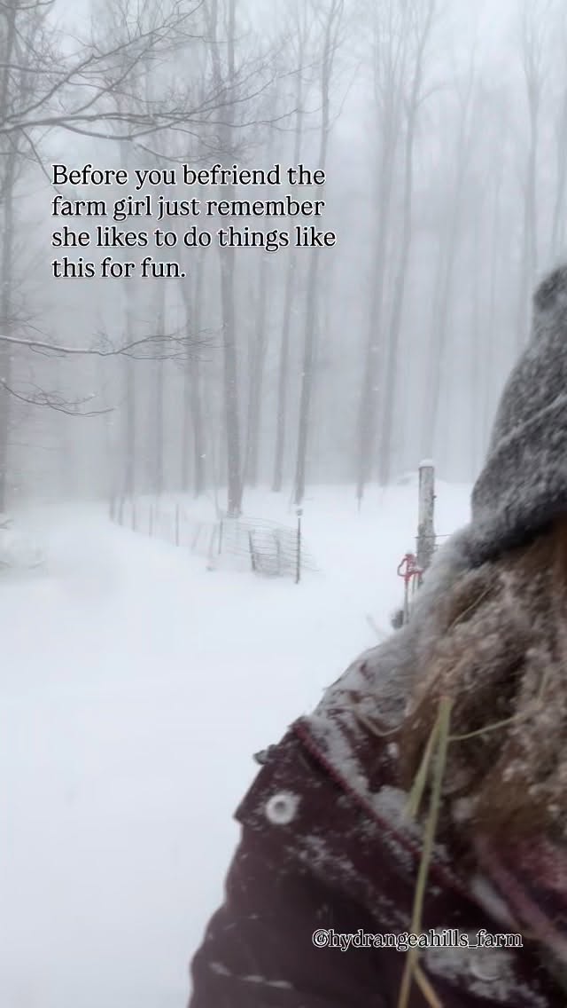 I convince myself it’s good for my health.
To keep 4 children alive and 3.5 million animals alive in the frozen tundra just because I LOVE them allll✨
Just remember kids, your life choices matter.
That’s all the encouragement I got for yas today!
-M