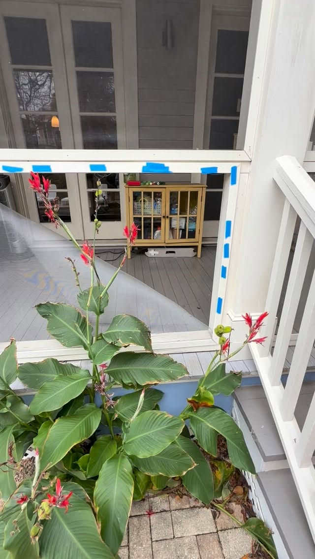 Screened in porch repair done right. Let the breeze in, keep the bugs out. Bring your porch back to life with Riley Services.