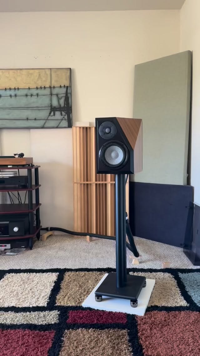 Waterloo micros powered by Mark Levinson electronics was a bigger step up than I was imagining, Wow.
Thanks @speakersommelier for hosting