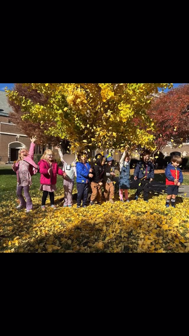 🩵 Want to know what we get up to all day in J/K?
☀️ Our Junior Kindergarten class meets each day with extended hours which means more flexibility in meeting the diverse needs of students busy preparing for kindergarten!
🦉Arrival 🦉
Gathering in the Portico gives them time to chat and practice social emotional skills
🦉 Free Play 🦉
After getting settled, our students are free to explore any of the 3 JK classrooms. From fine motor skills to creative play, our students build their independence as they make choices about how they’d like to spend their morning play time.
🦉 Morning Meetings 🦉
Following free play, our class gathers on the rug for Morning Meeting. A popular feature of Morning Meeting is selecting our helper of the day. In addition to assisting throughout the school day, the helper of the day also completes our Number of the Day bulletin board, using a variety of learning tools to represent our number.
🦉 STEAM Group Project🦉
We take a break for snack after Morning Meeting, and then gather again on the rug for our read aloud and whole class project. Whether an art project, science challenge or cooking fun…good times are always!
🦉 Outdoor Exploration 🦉
We love taking a break midday to head to the playground! Spending time with our friends in the other 4’s classes is a nice treat!
🦉 Small Groups 🦉
After lunch, we end our day with Small Group time. Meeting in groups of 2-3, our teachers provide targeted instruction in math and reading skills. We play games and use manipulatives to make learning fun. The small group size means that everyone has their needs met; from students who are still mastering their ABC’s to those who are ready to read!
🦉 Dismissal 🦉
At the end of the day, we join our Lunch and Learn buddies in the Portico for dismissal. Every day is a new adventure in the JK Owls…we’d love to share our days with you soon!
🩵 Think JK is the right step for your 4 year old? Email us and set up a tour to see all of the amazing parts that make our All Saints community so special!
#allsaintsepiscopalchurch #henricova #richmondva #allsaintspreschool #riverroad