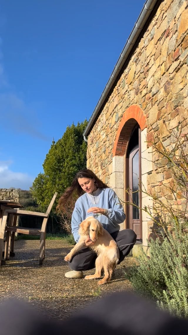 Elle s’ennuie ces derniers temps, l’ennui est connecté au chakra sacré, au niveau de l’abdomen.
Ce même centre énergétique qui est connecté à sa créativité, un peu en berne en ce moment.
J’ai su tout cela grâce a la communication animale et au soin énergétique que je viens de lui faire.
#spirituality #communicationanimale #comanimale #communicationintuitive #connexionanimale #energy #soinenergetique #qicleansing #cleansing #communicationanimaleintuitive