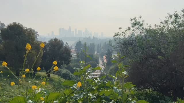 Hiking with the homies at Elysian @lilo.xxoo @torinne.silva @stormyjanee #LetHimFuck 😂