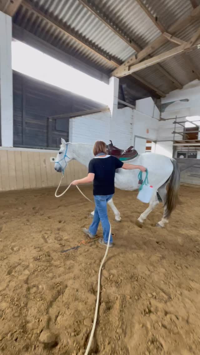 Gelassenheit entsteht nicht von allein – sie wird trainiert.💪
Geräusche, Bewegungen, Umweltreize –
mein Pferd soll darauf nicht reflexartig reagieren,sondern bei mir bleiben.
Hier arbeite ich mit dem klaren Prinzip
Annäherung und Rückzug.
Kanister. Plane. Bewegung. Pause.
Ich erhöhe den Reiz bewusst, nehme ihn wieder zurück und gebe meinem Pferd die Möglichkeit, Ruhe zu lernen statt Flucht.
So entsteht echte Desensibilisierung.
Keine Überforderung.
Keine Überraschung.
Genau das lernst du bei mir
mit der SafetyHorseMethod.
Mehr Infos findest du in meiner Bio 🐎✨
deine Anja🚀
Hashtags:
#SafetyHorseMethod
#Pferdetraining
#GelassenesPferd