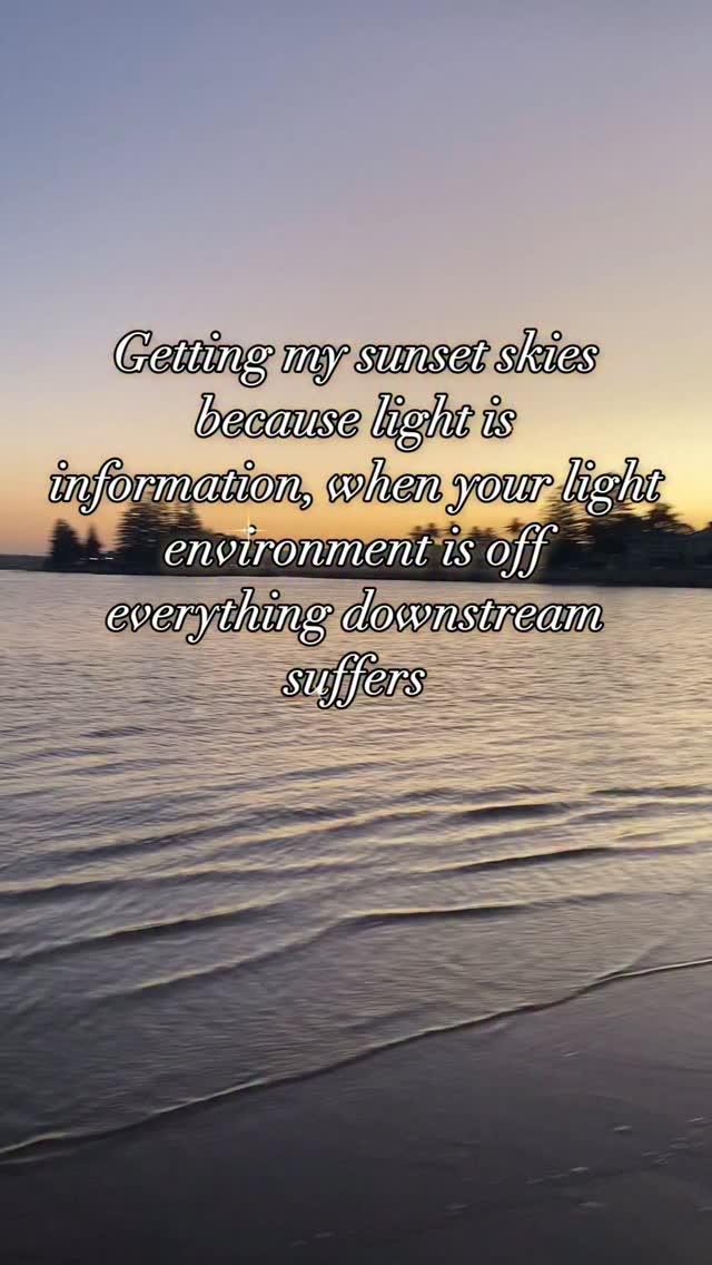 I have always tried to get morning and midday light but don’t often prioritise evening light exposure so this year I’m changing that.
By getting morning sun, midday light and sunset skies you give your body the signals it needs to repair, regulate and get out of survival mode.
Our circadian rhythm, hormones, metabolism, immune and nervous system all depend on light signals from our environment.
Light is the original reset button your body was designed to respond to. So catch that morning sun, get your midday light and as the sun sets, instead of turning overhead lighting on, use low light lamps (red light bulbs if you can), put away the screens and get outside into the evening skies.
Light is medicine and it is one of the first things I like to work on with my clients when healing 💫
-
-
-
#integrativehealth #wellness #health #healthyliving #cleanliving #healthyhabits #integrativewellness #naturalhealth #dailyrituals #lightsignals