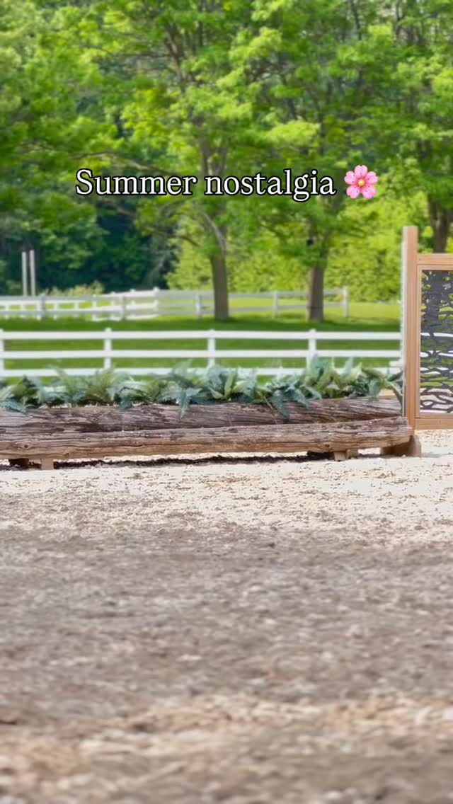 We are missing summer dearly during all of these lovely snowstorms! 🥶
Get your #horsegirl summer planned with #teambellewood 🩵🐴
Whether you are interested in casual lessons or part-leasing & horse showing- Belle Wood has something for everyone!
Email info@bellewoodeq.com for all equestrian inquiries! ✉️