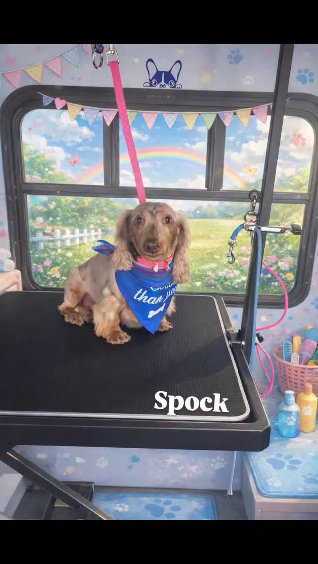 Spock after his nice spa day ❤️