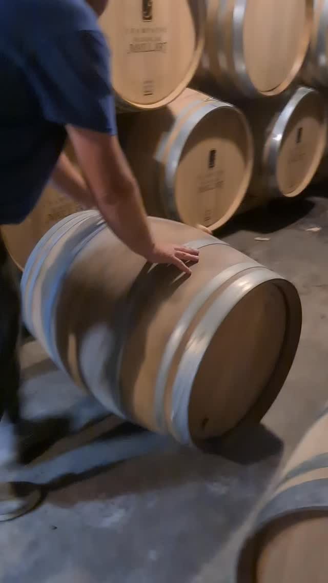 Tradition meets the future. We’re excited to see how this French oak shapes the character of our upcoming vintage.
#champagne #champagnelover #luxurylifestyle #champagnelovers #champagnelife champagneaddict champagnesecret champagnemoment luxurystay privatetours privatechampagnetours gastronomy champagneluxurytrip