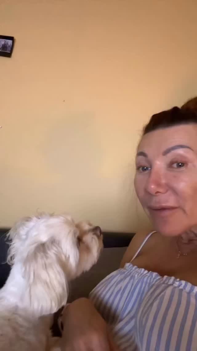 #grooming #hundesalon #luzern #grooming_luzern #maltese