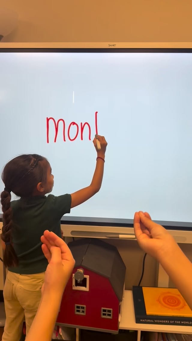 Things in Montessori that just make sense 🤌🏽 turns out structure works. #Montessori #education #color #organization