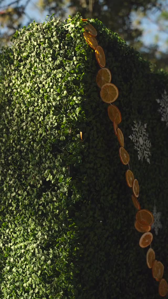 Proof the holidays can last a little longer ❄️
A winter wonderland celebration for HCA Hospital!
Holiday helpers:
Design and coordination: @wanderlusteventcompany
Decor and florals: @posyexchange
Catering and bartending: @crust_bakery_and_catering
Tent and rentals: @gabroeventservices
Restrooms trailer: @fiestasolutionseventrentals
Entertainment: @awientertainmentllc
Content and video: @cfrapwell
Coffee cart: @cafealacartetampabay
Linens: @overthetoprentallinens
#eventplanner #holidayparties #corporateeventplanner #eventplanning #tampa
Social Event Planner | Traveling Event Planner | Corporate Event Planner | Planner Near Me | Holiday Party Planner