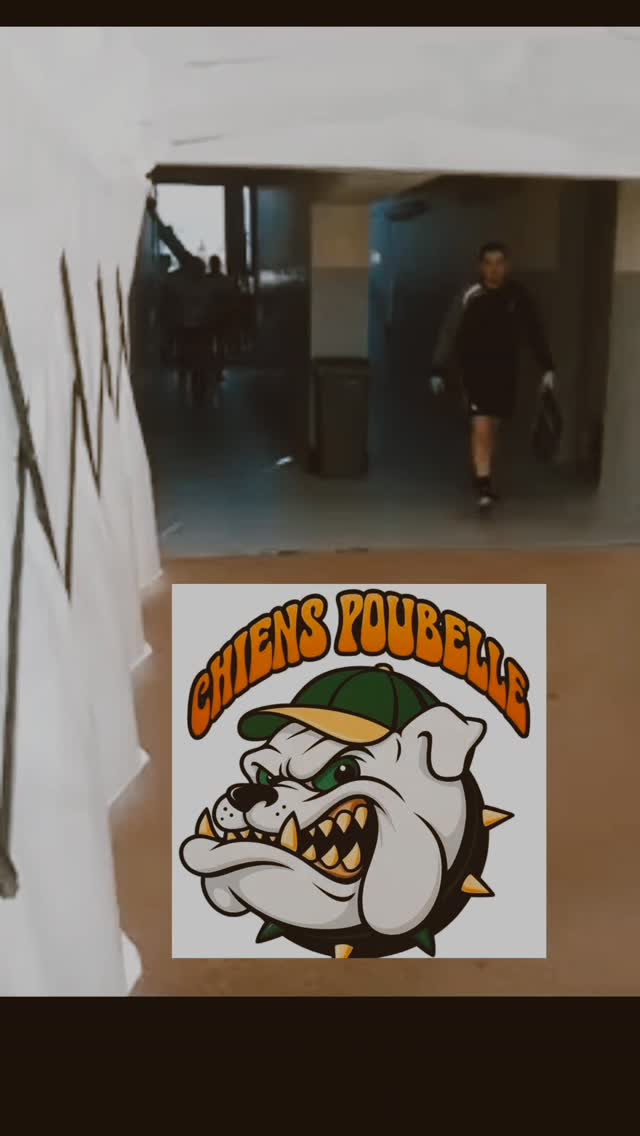Les chiens poubelle #lescopains #rugbylife #toujours #carqueiranne