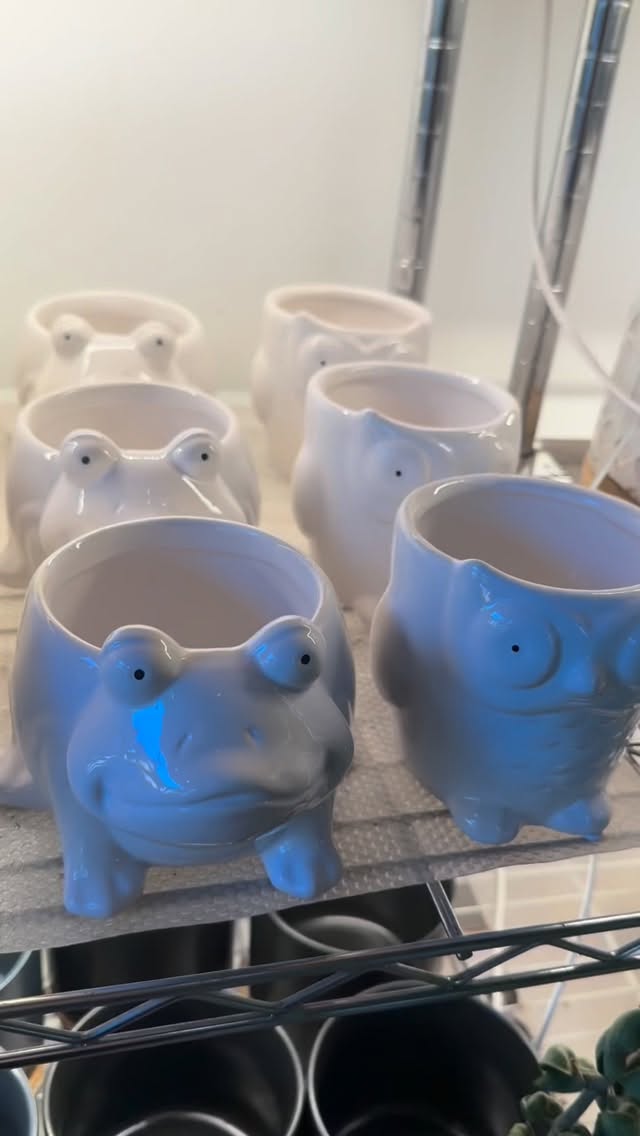 Looking for a cute pot to liven up your home? These animals are available here. 🪴
#booshnursery #indoorjungle #plantshop #seattle #pottery #animalpottery #smallbuisness
