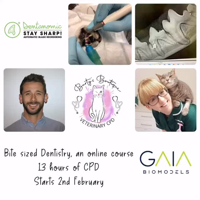 Join us for our Online Dentistry Course starting 2nd Feb, we are covering a huge range of content, all to be watched at your own pace, notes included! All info and booking on our website
