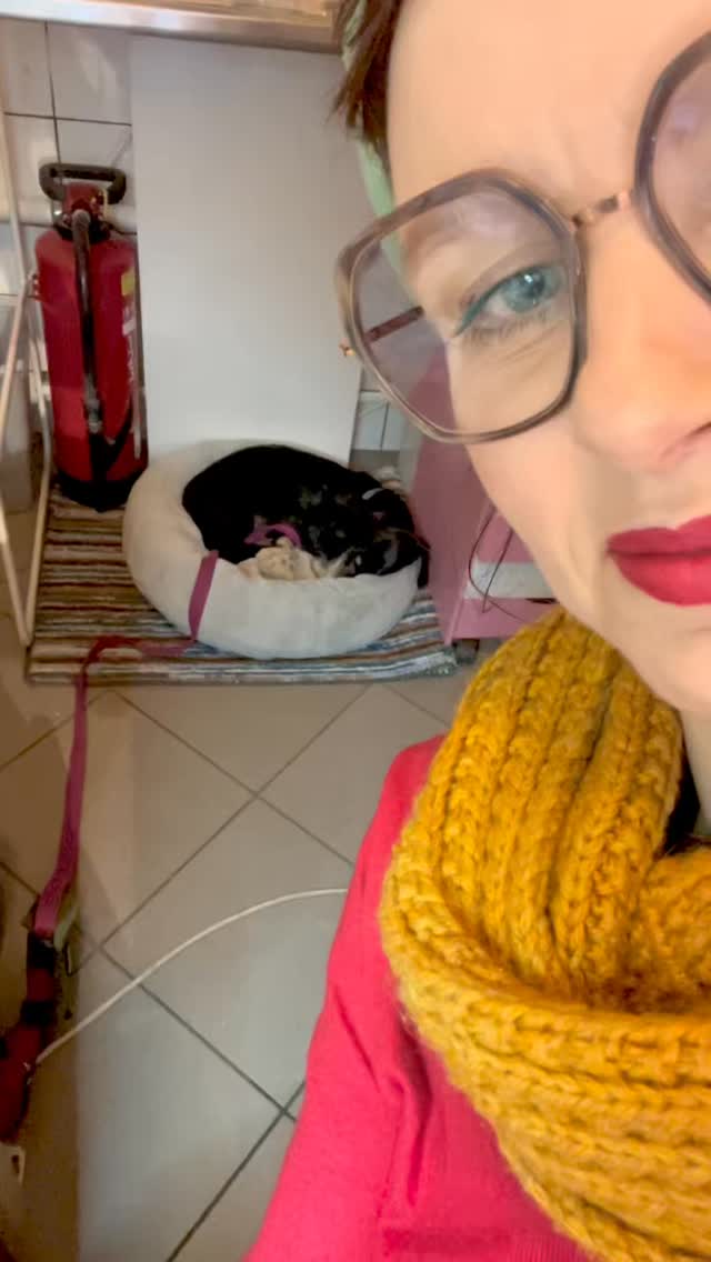 From today on, Rex is officially employed as Head of Fire Safety 🔥🐶
Sleeps most of the time.
Keeps an eye 👀on things when necessary (by barking)😅
#dackelblick #dackel #dachshund #atthebeach #atwork