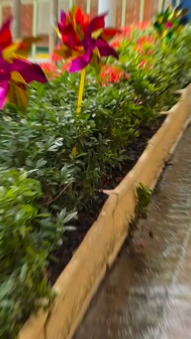 Hoje a chuva resolveu fazer parte da nossa rotina. 🌧️💛
Com o pátio molhado, ventinhos leves e os cataventos dançando, transformamos o dia cinza em um momento de alegria e acolhimento.
Dentro da Escola Parque, o guarda-chuva virou brincadeira, movimento e imaginação. No pátio interno, criamos uma dinâmica divertida, cheia de risadas, trocas e descobertas — porque aqui, cada detalhe vira aprendizado.
Mesmo nos dias de chuva, o cuidado, o afeto e o brincar seguem presentes. É assim que acolhemos nossas crianças: com carinho, criatividade e atenção a cada momento. 🤍✨
#EscolaParque #DiaDeChuva #AprenderBrincando #InfânciaFeliz #Acolhimento EducaçãoComAfeto RotinaEscolar MomentosQueEncantam BrincarTambémÉAprender EscolaQueAcolhe