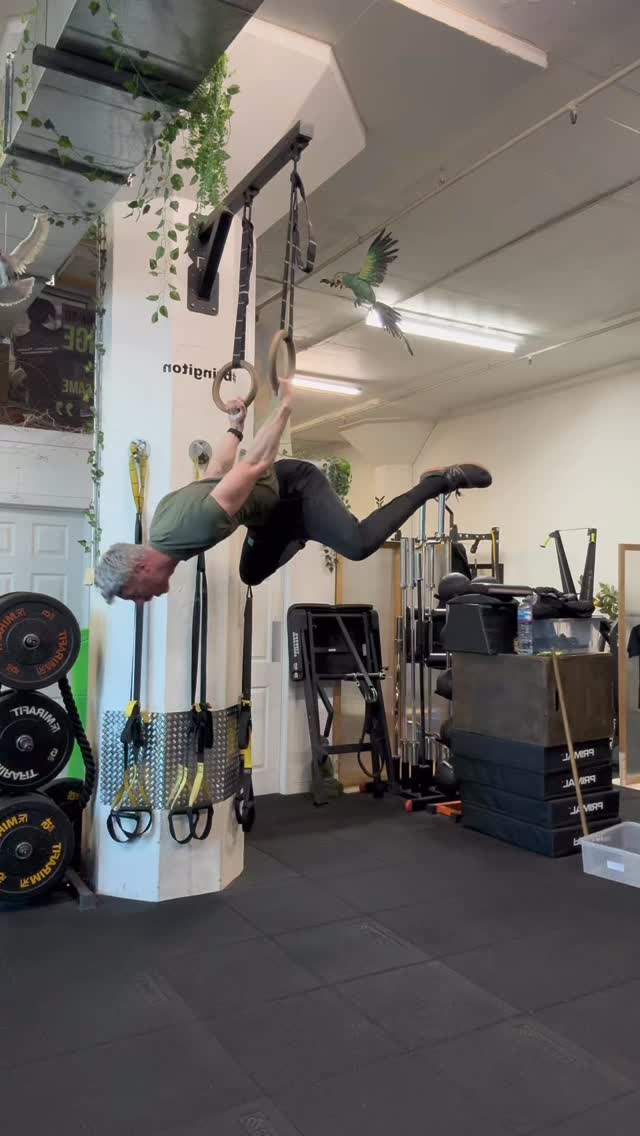 The real mistake?
it’s not the wobbles, or the fails
→ It’s when you stop showing up.
Come back tomorrow.
And the next day.
And keep coming back.
🤝
pursue persistence - not perfection
that “all or nothing” mindset can be a barrier.
does it ever show up for you?
Tell us below
↓ it’s a safe space.
#comebacktomorrow #showup #gymmistakes #trainingfails #safegymspace