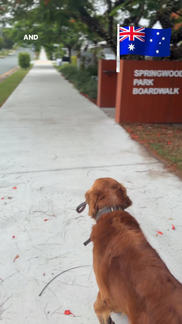 Happy Australia š¦šŗ day to all - hope everyone has a fantastic day š„°