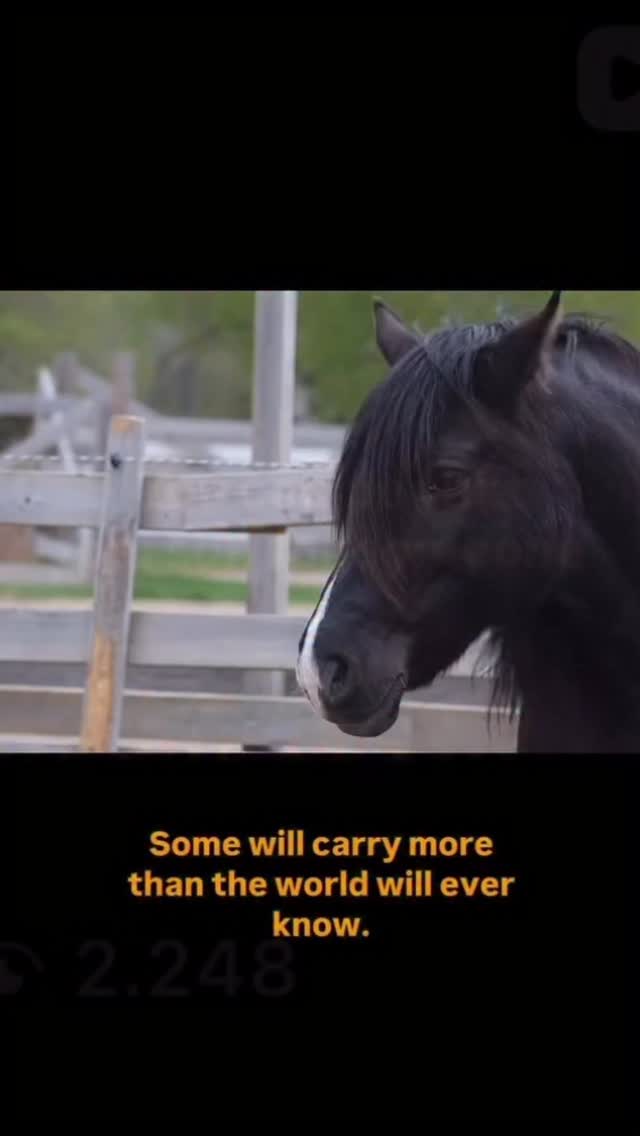 Just a gentle reminder ❤️🙏