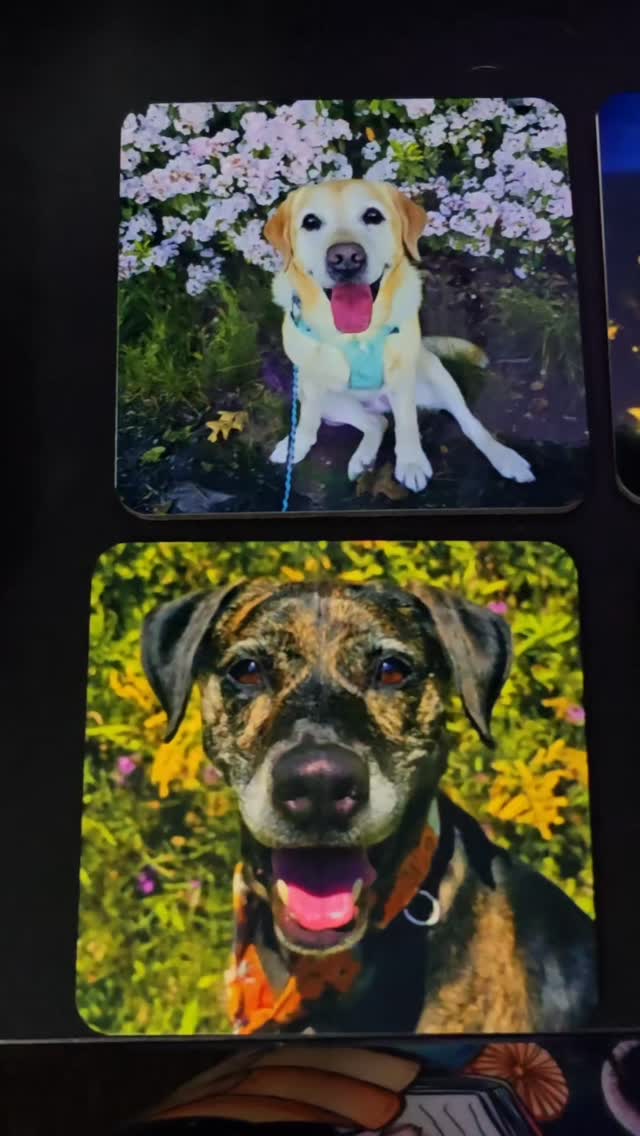 Coasters! Whatchya think!?