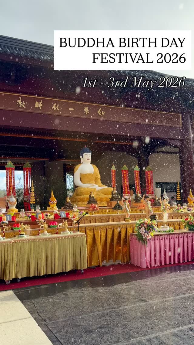 Food
Performances
Art
Buddhist Talks
Souvenirs
Meditation