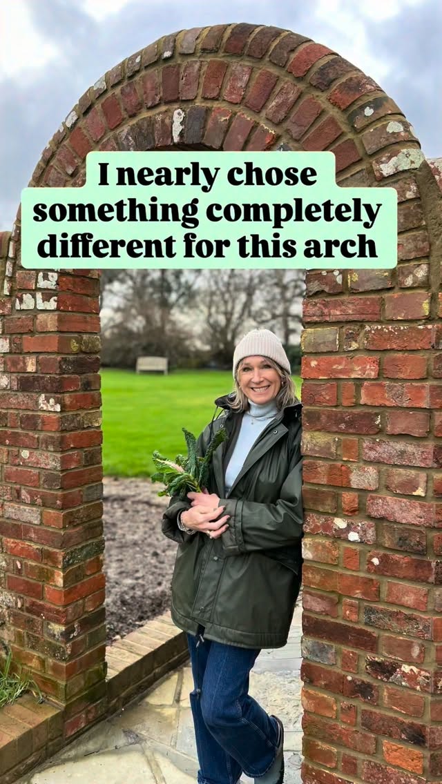 I think you will all agree, it had to be 💜decision made it’s another wisteria. Thank you for so many suggestions, loads of you voted for a rose instead or with, I have listened and will plant one further along the wall, nothing like best of both worlds. #wisteria #gardening #grow