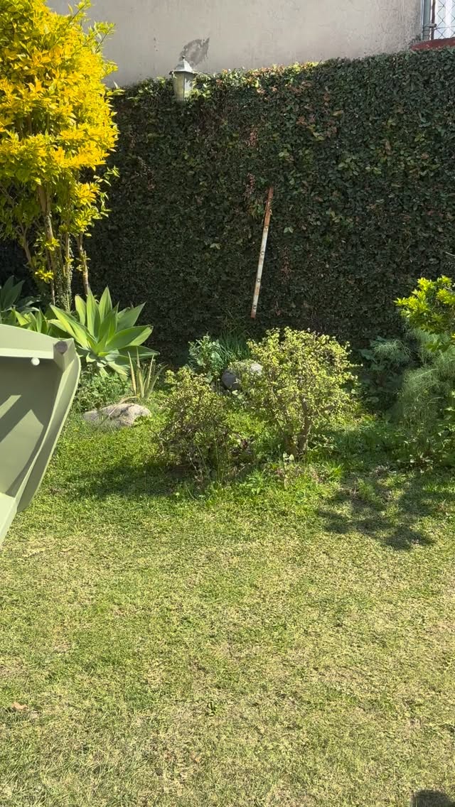 📌 Si vas a invertir en mobiliario, que sea en algo que no te falle.
•Sillas resistentes ✔️
•Firmes ✔️
•Listas para cualquier ocasión ✔️
Mándanos mensaje y cotiza ya✨
.
#encontactoeventos #resistente #inversioninteligente #enviosatodomexico