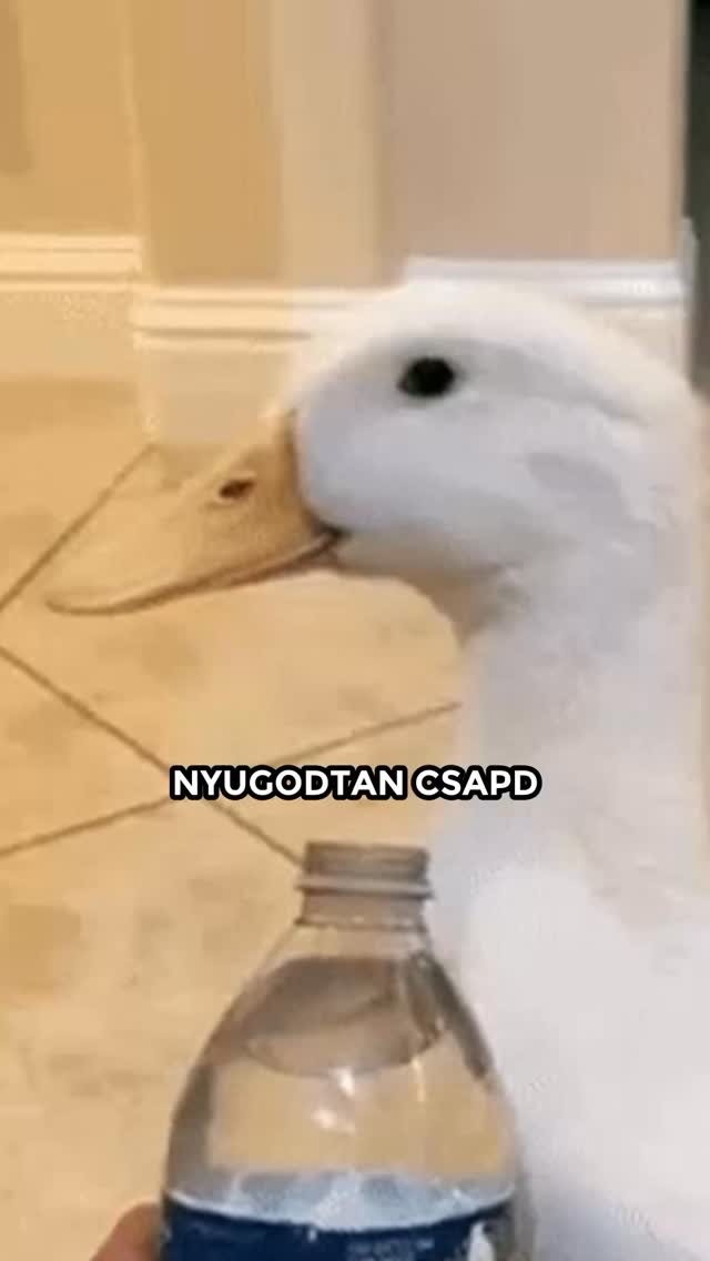 Te bírod a telet, vagy már a nyárért imádkozol?#wantopfutár #wtf #futár #futárszolgálat #munka