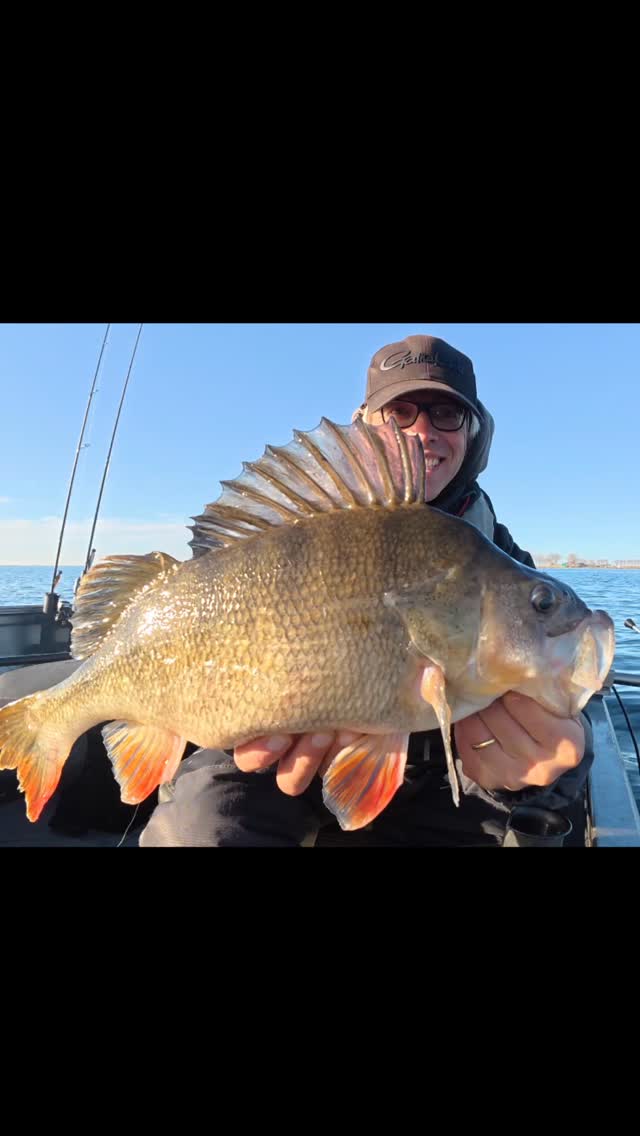 Hard hit, heavy fish. Casting pays off.
#yamahaprofishing #batterylabs #stcroixrods #delalandepeche