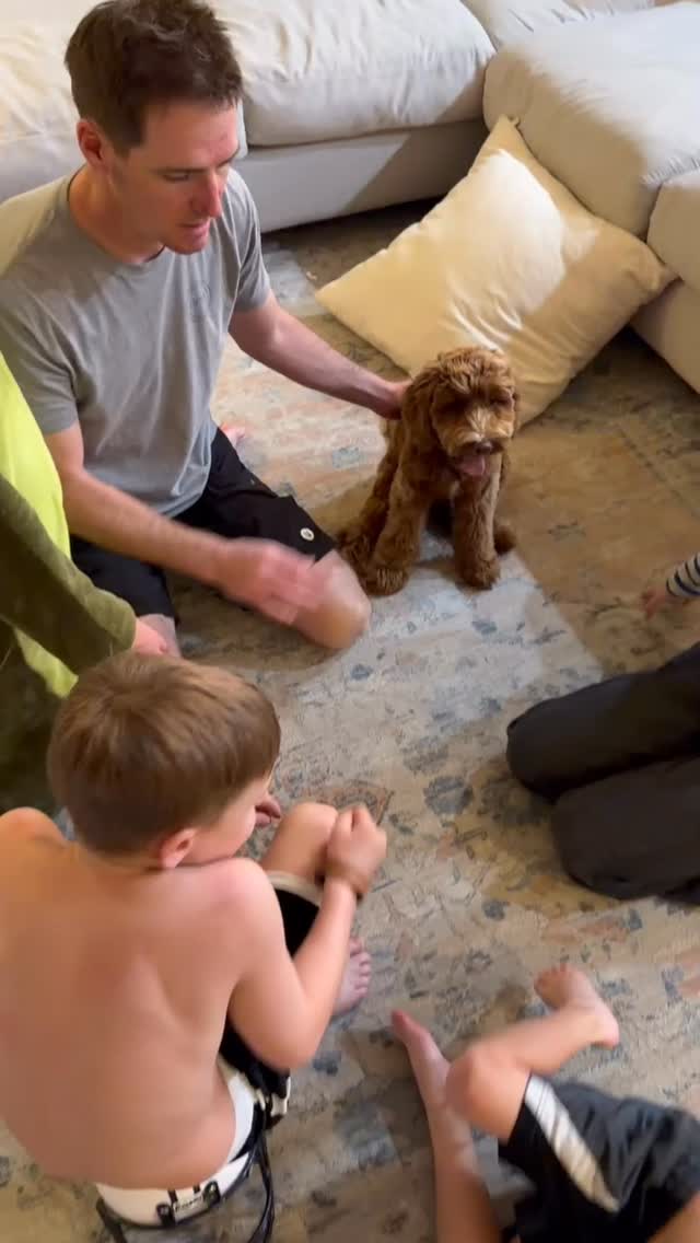 Bears family saysโฆHi andrea! Itโs Lara . Just wanted to give you a little update on blue boy that we got from you back in October โบ๏ธ His name is now Bear and we are so in LOVE! Heโs been such a good, obedient dog. He learns quickly and his temperament has been a dream! Thank you again for all you did to make such an amazing dog!