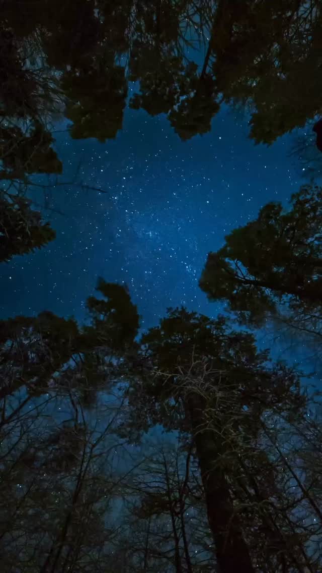 As the week comes to a close, take a moment to check in with yourself—not just your to-do list.
How are you really feeling today?
You don’t have to have everything figured out to be worthy of care, rest, and support. 💛
If you’re carrying more than you’d like to, you’re not alone.