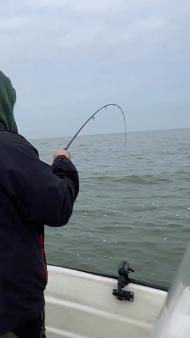 Happy clients throughout the year is what we do it for. For all the predator species we can be your guide, but also non predatory fish are optional.
as long you have a dream fish, shoot us a DM 🤙
Never stop the chase!
#fishingguidenetherlands #catchandrelease #zander #aspius #fishinginholland