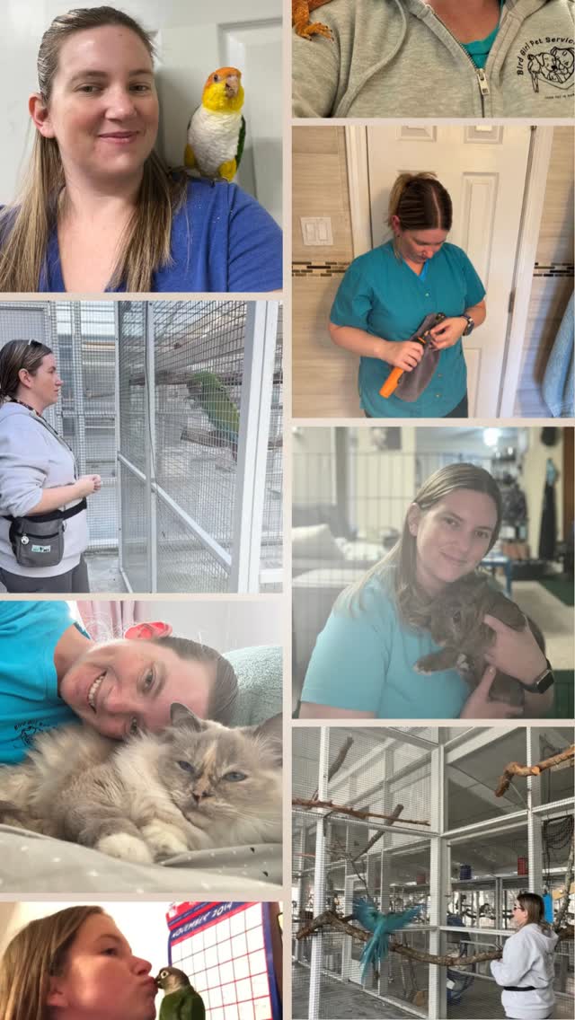 Handling isn’t just “holding an animal.”
It’s a skill built through years of experience, patience, and understanding how different species experience stress.
Kaitlin has spent years working hands-on with exotic animals — learning when to move, when to pause, and when not to push.
That experience matters.
Because calm, knowledgeable handling doesn’t just keep pets safe in the moment —
it protects their trust long-term.
This is the standard behind every interaction here 💛
Proper handling reduces stress prevents injury and builds trust.