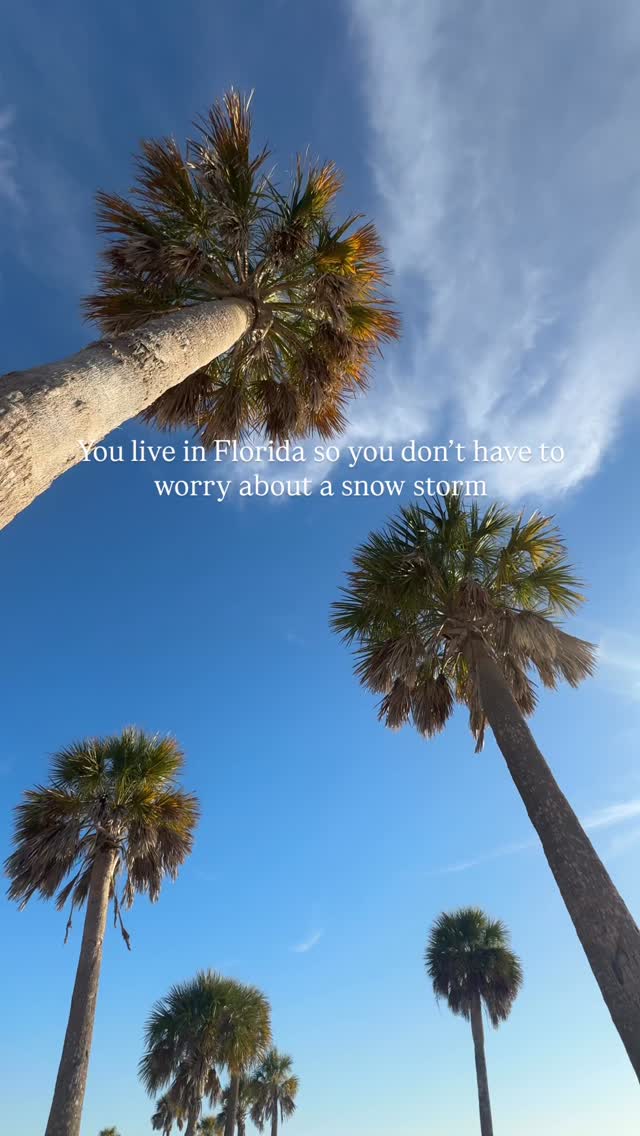 Snow storms? Can’t relate 🌴
Hurricanes? Maybe 😂
•
•
•
•
#floridalife #visitflorida #beachday #snowday #floridawinter