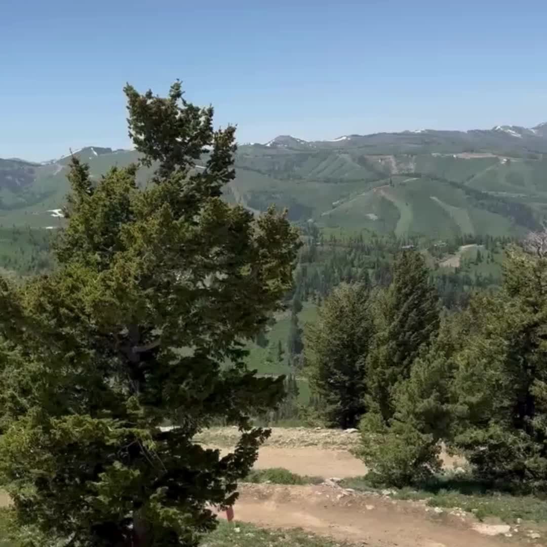 My recent trip to my favorite place, Deer Valley, Utah. Normally a winter retreat, experiencing its summer beauty was truly special.