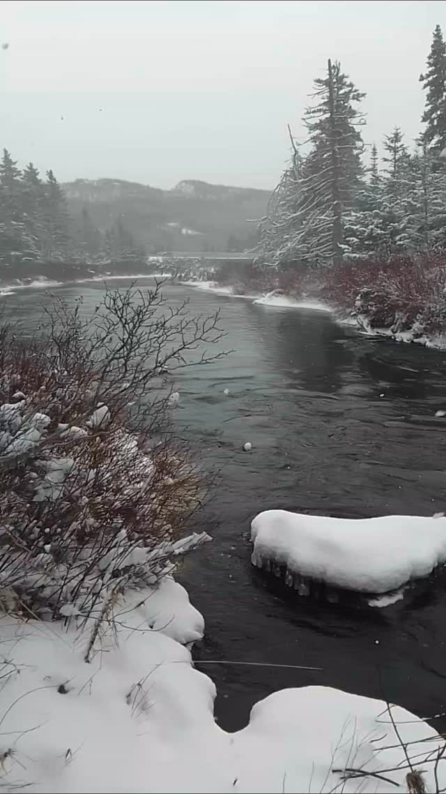 So cold! 🤍🤍🤍💙🙏